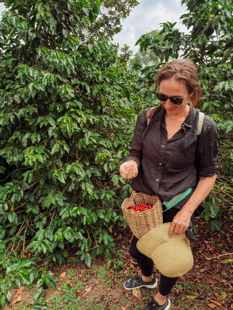 me picking coffee beans!